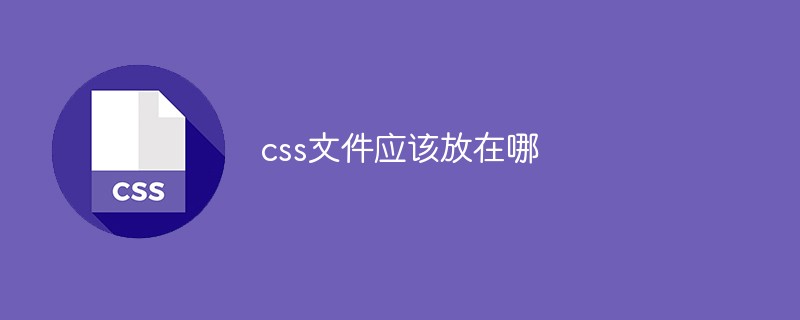 CSS 파일은 어디에 배치해야 합니까?