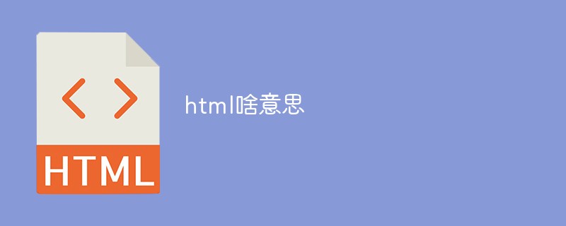 html啥意思