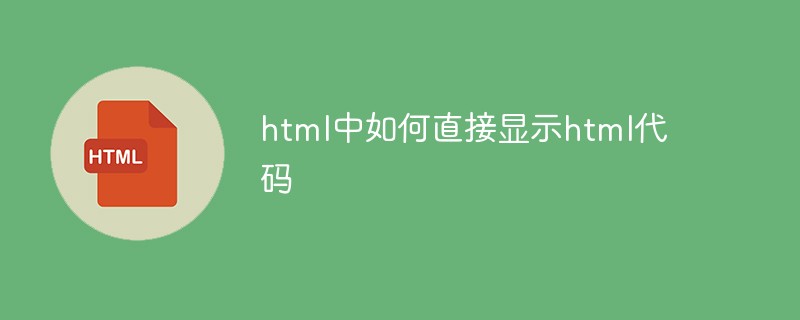 html中如何直接显示html代码