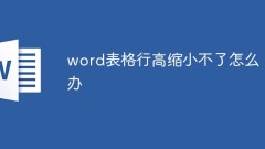 word表格行高缩小不了怎么办