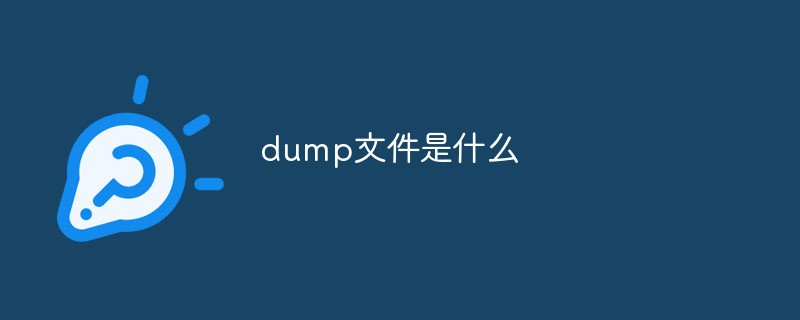 What is a dump file?