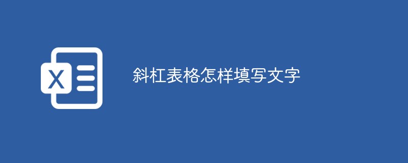 슬래시 형식으로 텍스트를 채우는 방법