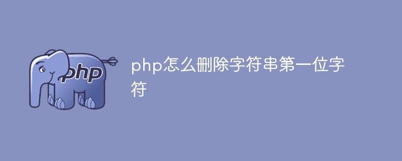 PHP에서 문자열의 첫 번째 문자를 삭제하는 방법