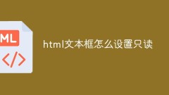 How to set read-only in html text box