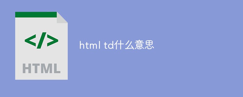 html td什么意思