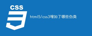 html5/css3에 추가되는 의사 클래스