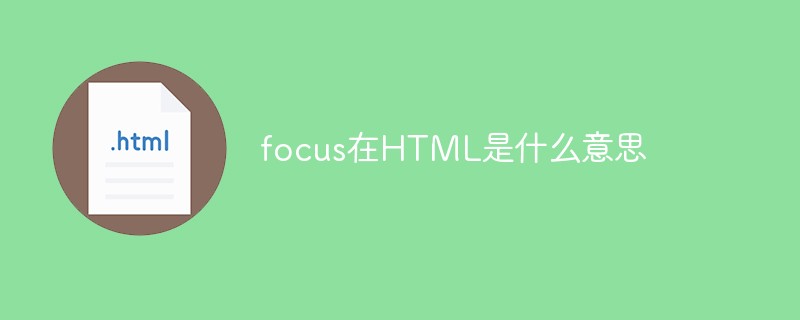 focus在HTML是什么意思
