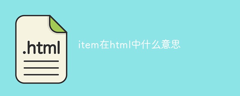 item在html中什么意思