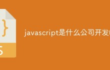 javascript是什么公司开发的