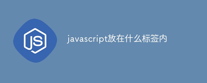 javascript放在什么标签内
