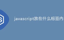 javascript放在什么标签内