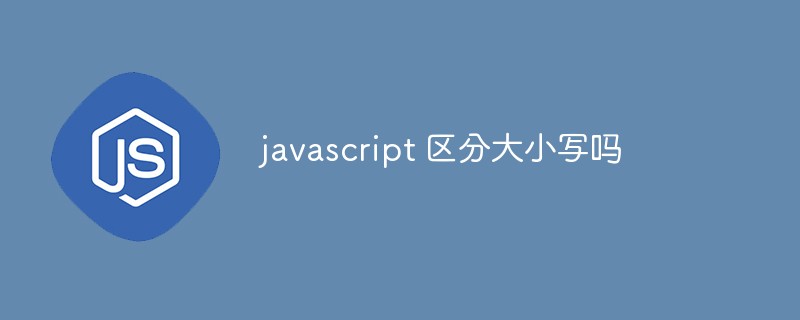 JavaScript では大文字と小文字が区別されますか?