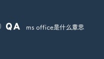 ms office是什么意思？