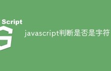javascript怎么判断是否是字符