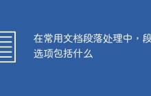 在常用文档段落处理中，段落选项包括什么