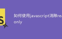 如何使用javascript消除readonly