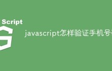 javascript怎样验证手机号码