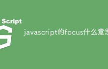 javascript的fcous什么意思