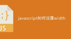 How to set width in javascript