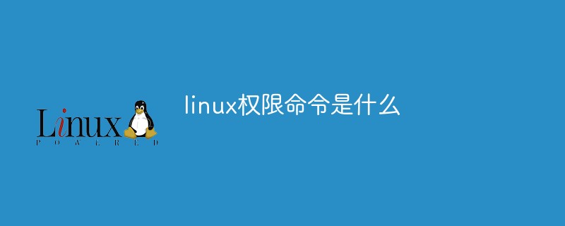 linux权限命令是什么