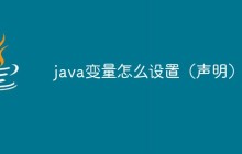 java变量怎么设置（声明）
