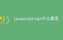 javascript nan什么意思