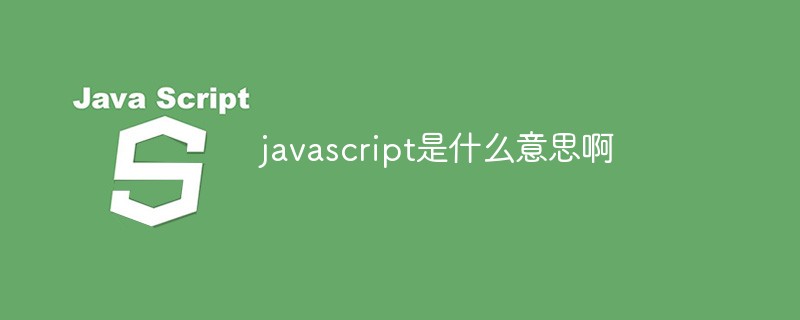 What does javascript mean?
