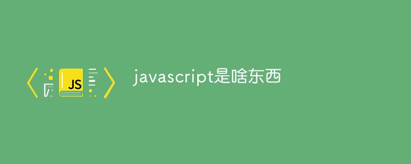 javascript是啥东西