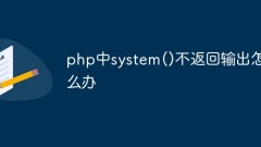 Que dois-je faire si system() en php ne renvoie pas de sortie ?