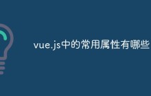 vue.js中的常用属性有哪些