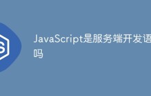 JavaScript是服务端开发语言吗