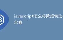 javascript怎么将数据转为布尔值