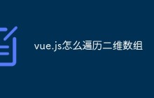 vue.js怎么遍历二维数组