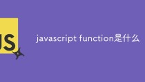 javascript function是什么