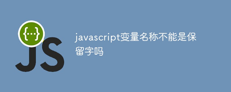 JavaScript の変数名は予約語にできないのでしょうか?