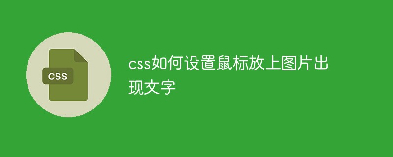 画像上にマウスを置いた時のテキストをCSSで設定する方法