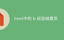 html中的 b 标签啥意思