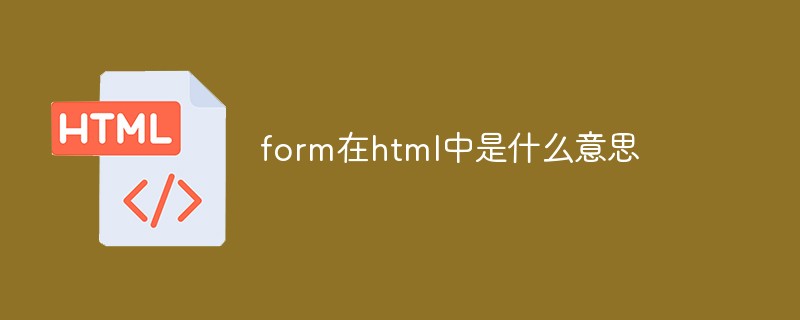 form在html中是什么意思