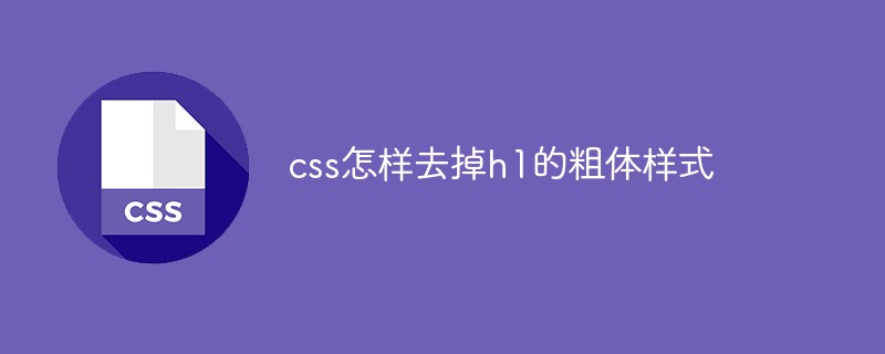 CSS에서 h1의 굵은 스타일을 제거하는 방법