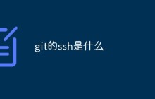 git的ssh是什么