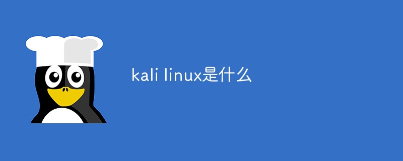 kali linux是什么