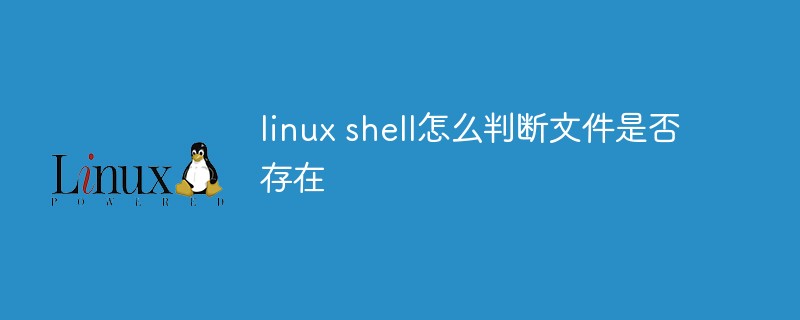 How to determine whether a file exists in linux shell