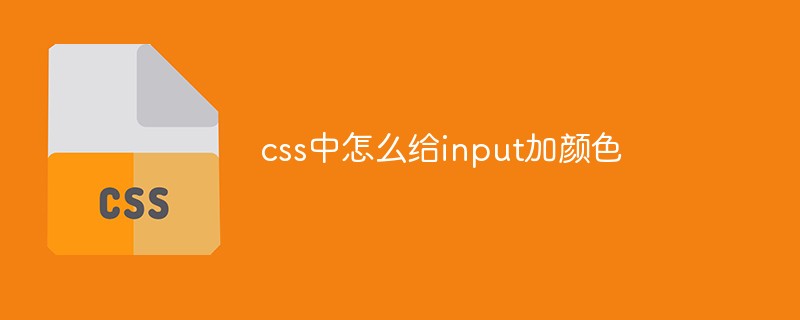 css中怎么给input加颜色