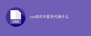 アスタリスクは CSS スタイルで何を表しますか