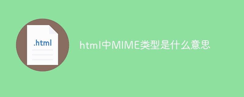 HTML에서 MIME 유형은 무엇을 의미합니까?