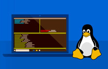 如何解决putty linux乱码问题