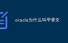 oracle为什么叫甲骨文