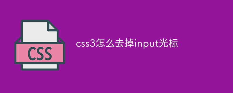 css3怎么去掉input光标