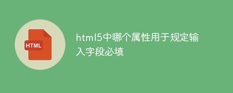 html5中哪个属性用于规定输入字段必填