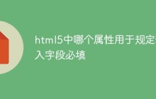 html5中哪个属性用于规定输入字段必填